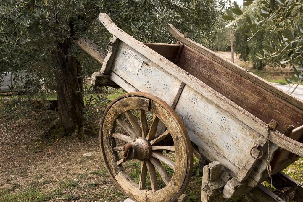 Agriturismo La Romagnana Pistoia Kültér fotó